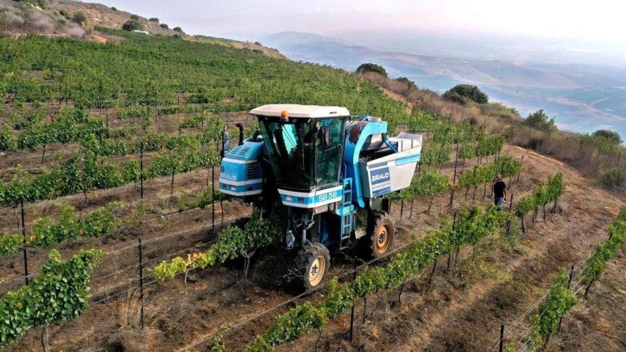 Tractor in field