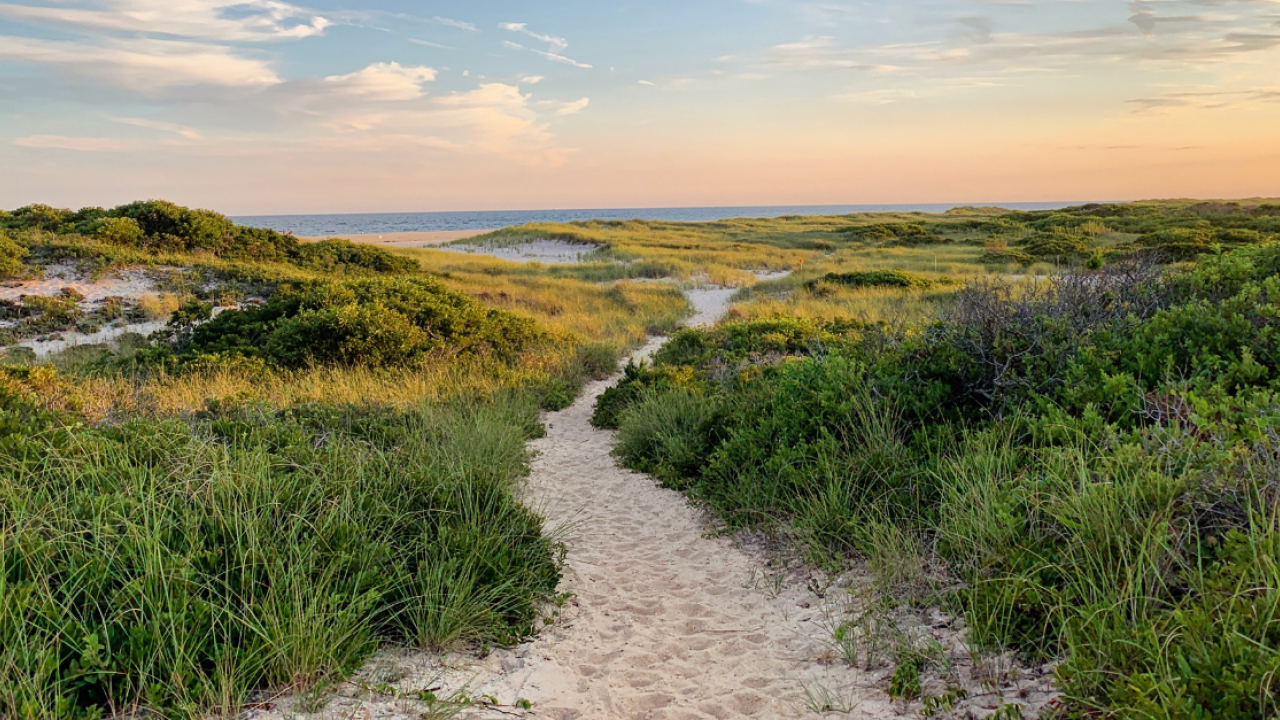 A river stream or path