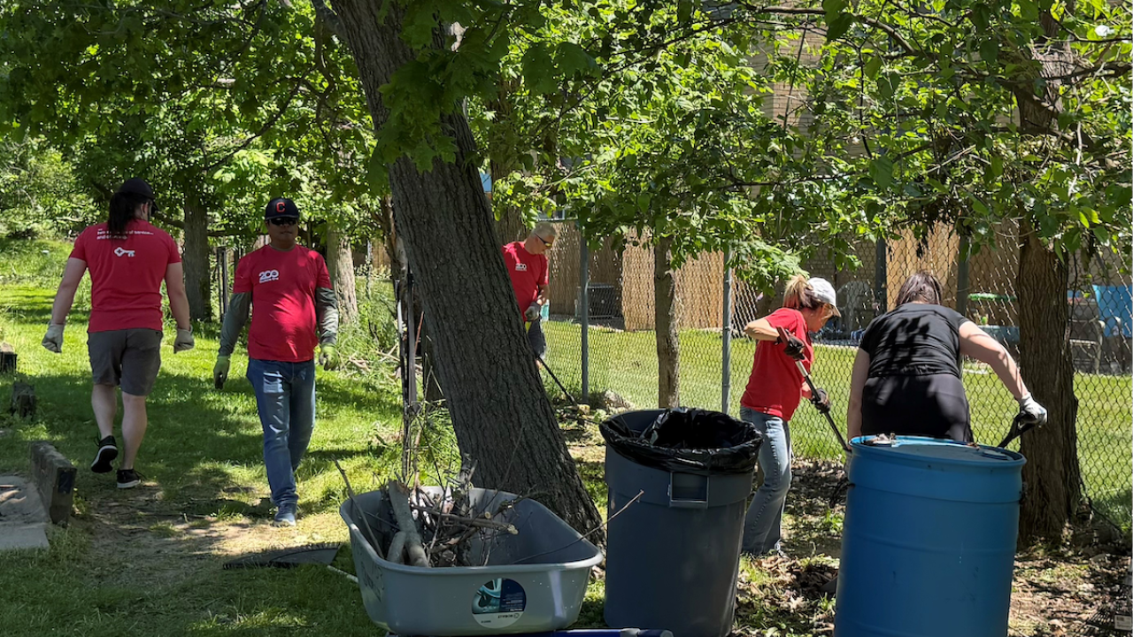 volunteers working together