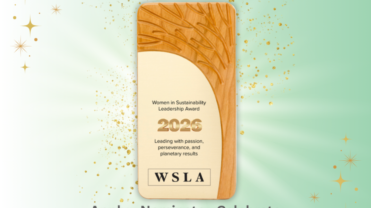 WSLA Apply, Nominate, Celebrate poster