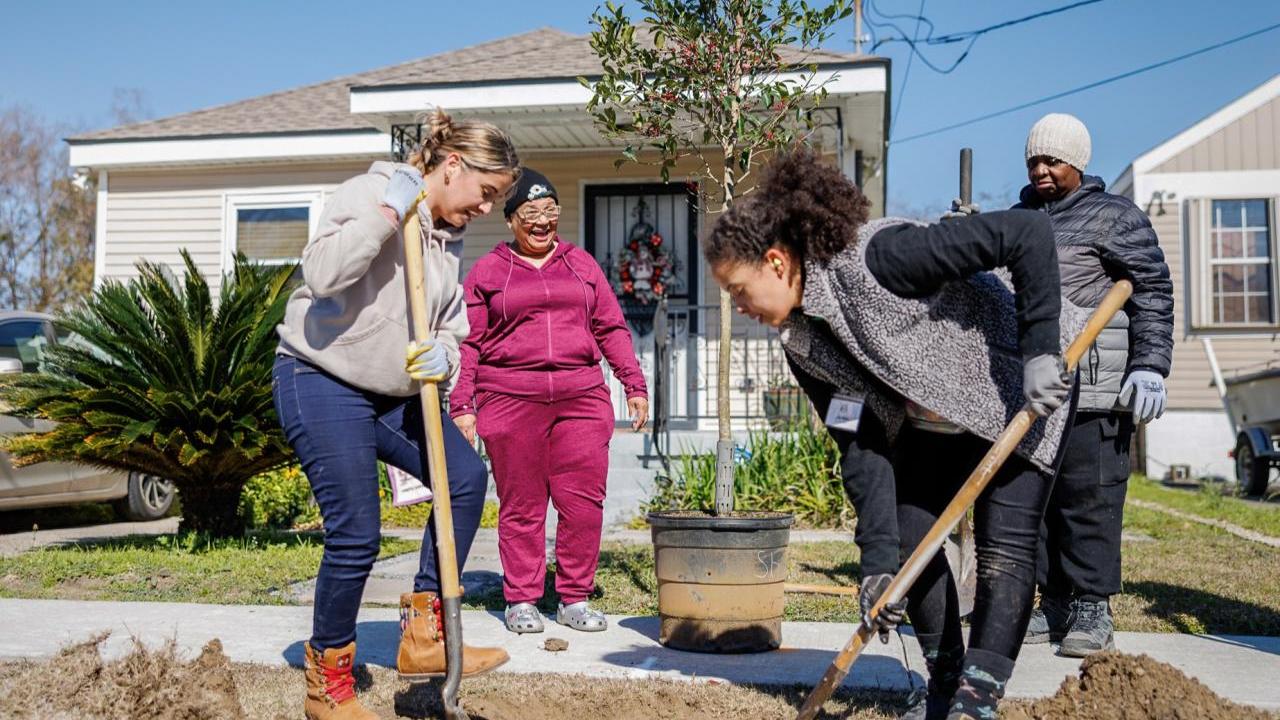 Two decades after Hurricane Katrina, the effort to replant a lost tree canopy still continues. The Arbor Day Foundation’s most recent planting in February brought dozens of new trees to New Orleans’ Lower Ninth Ward neighborhood.