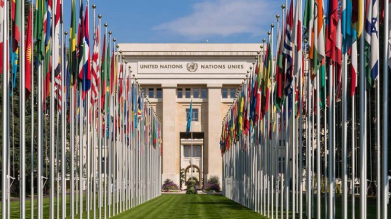 row of flags