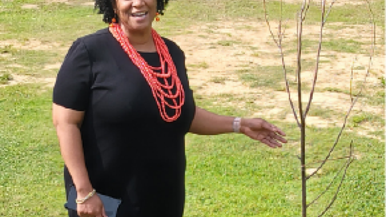 Woman next to a young tree