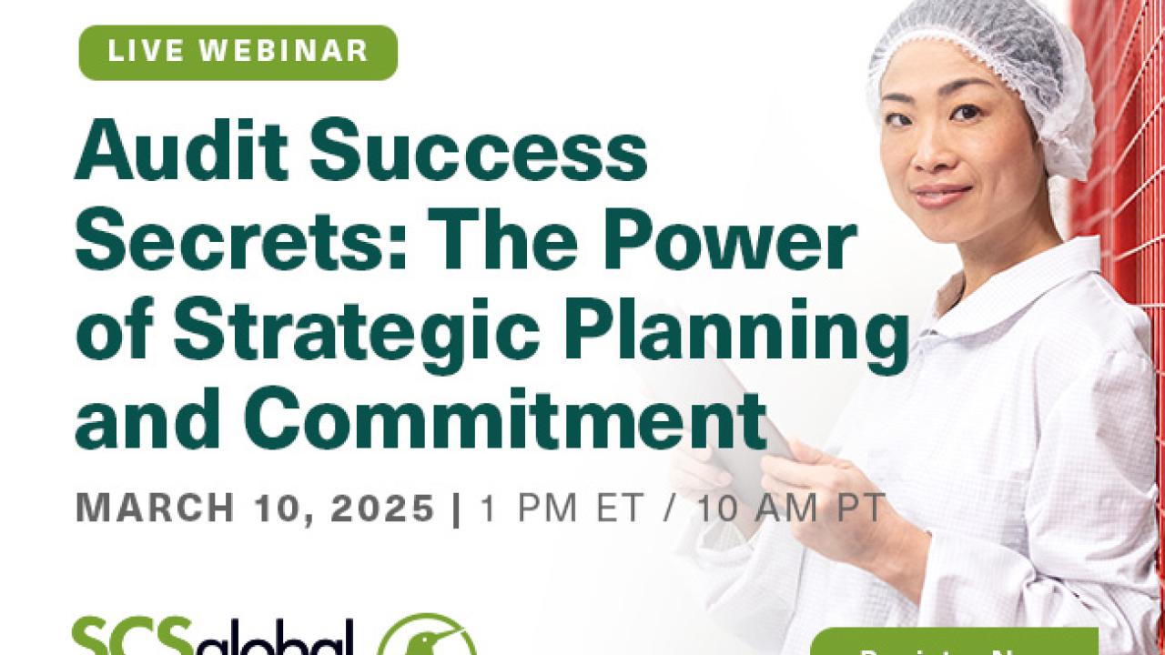 Audit success secrets: the power of strategic planning and commitment