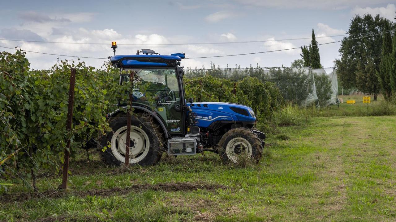 Blue tractor in field of grape vines