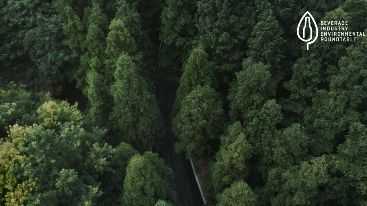 road through the forest