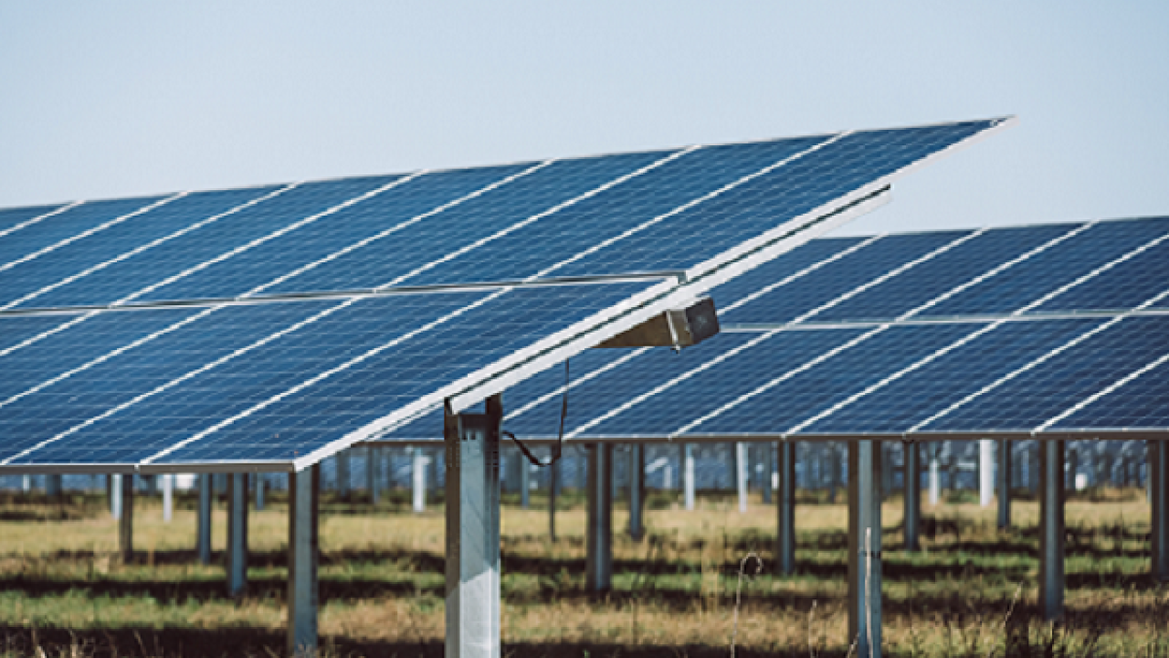 Field of solar panels.