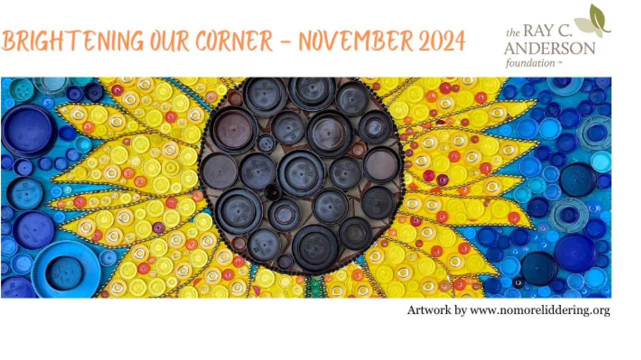 Sunflower Image on Newsletter Header