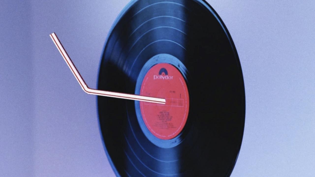 vinyl record