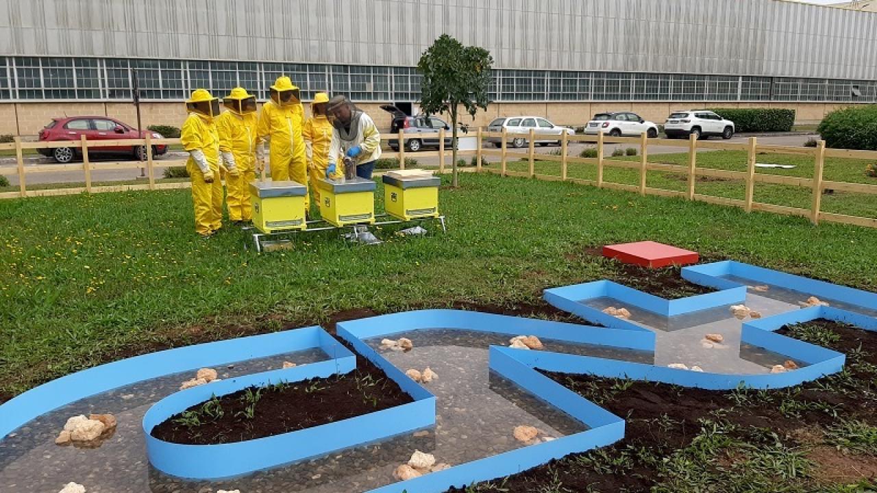 A group of people wearing beekeeping suits, stood behind some bee hives.