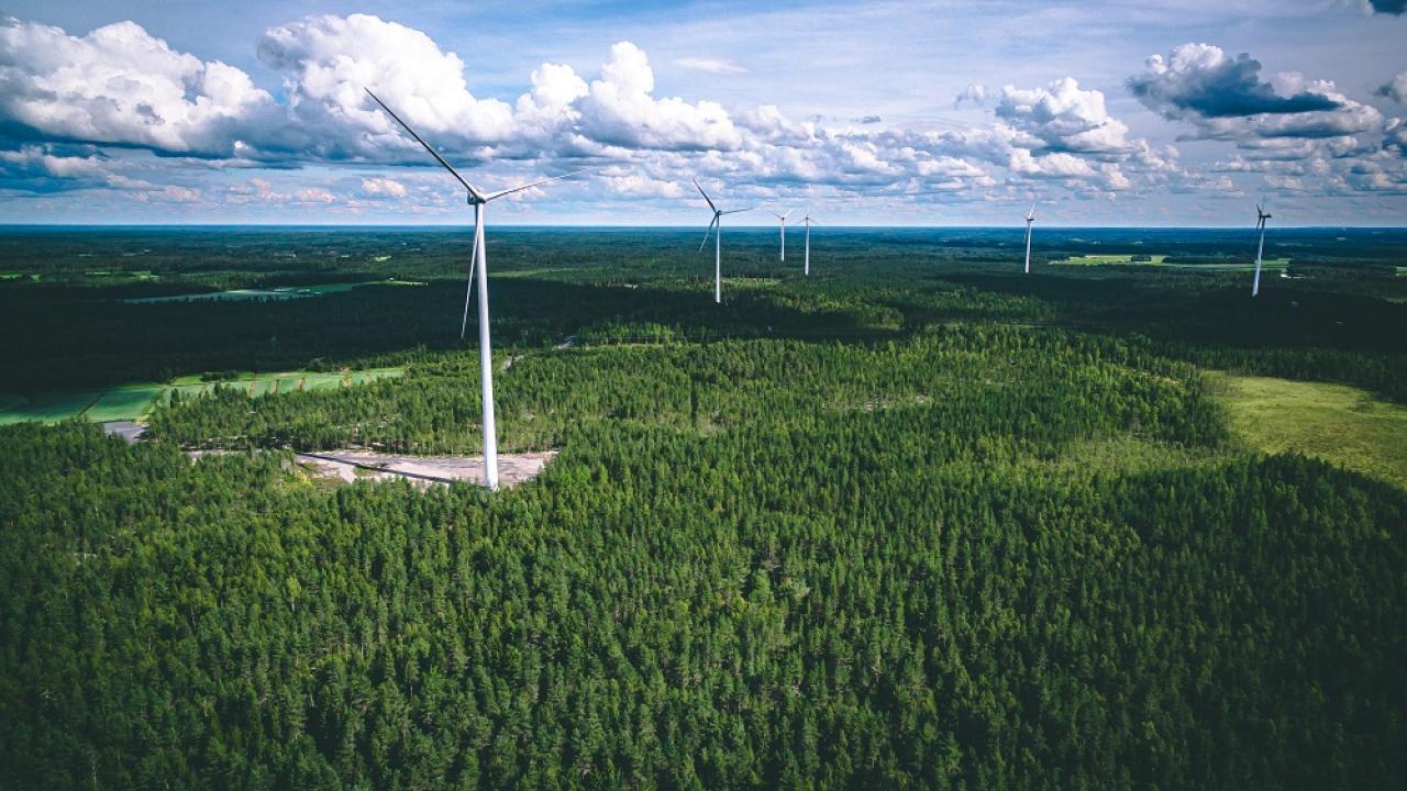 Landscape with wind turbines rising from a forest