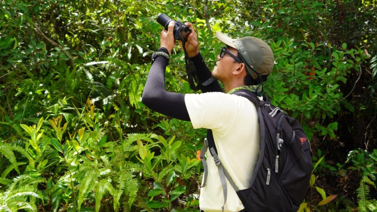 A person in heavy foliage taking a photograph