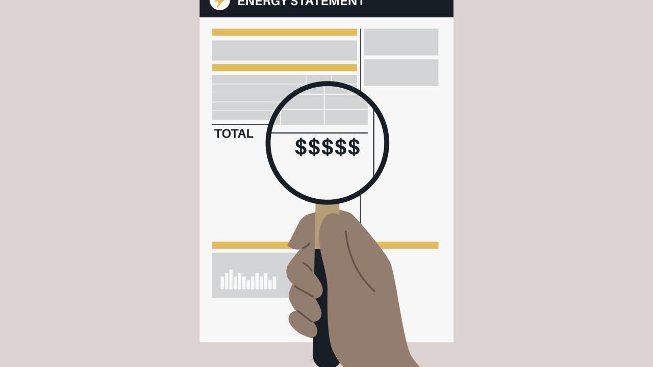 Consumer checking details of their energy bill