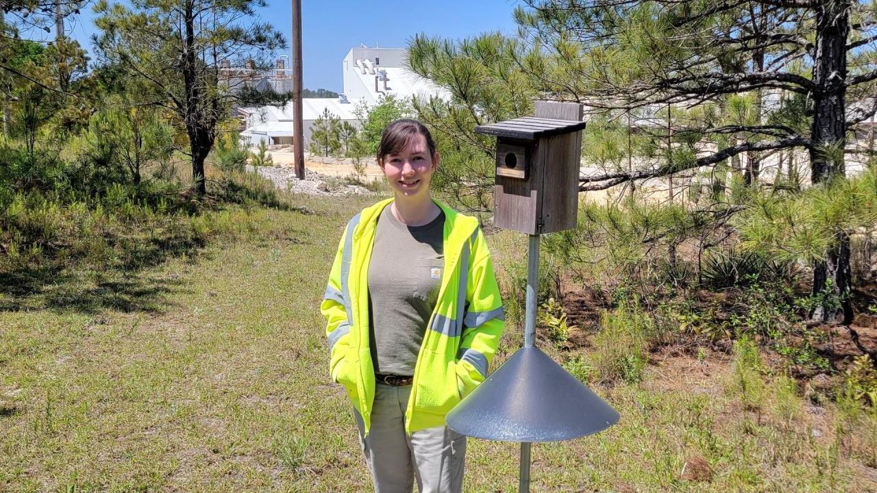 Bluebird box and Covia employee