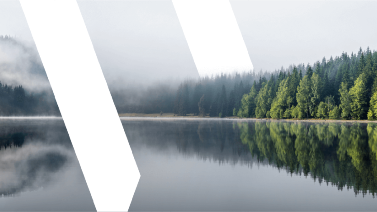 composite image of a woodland lake and white diagonal lines