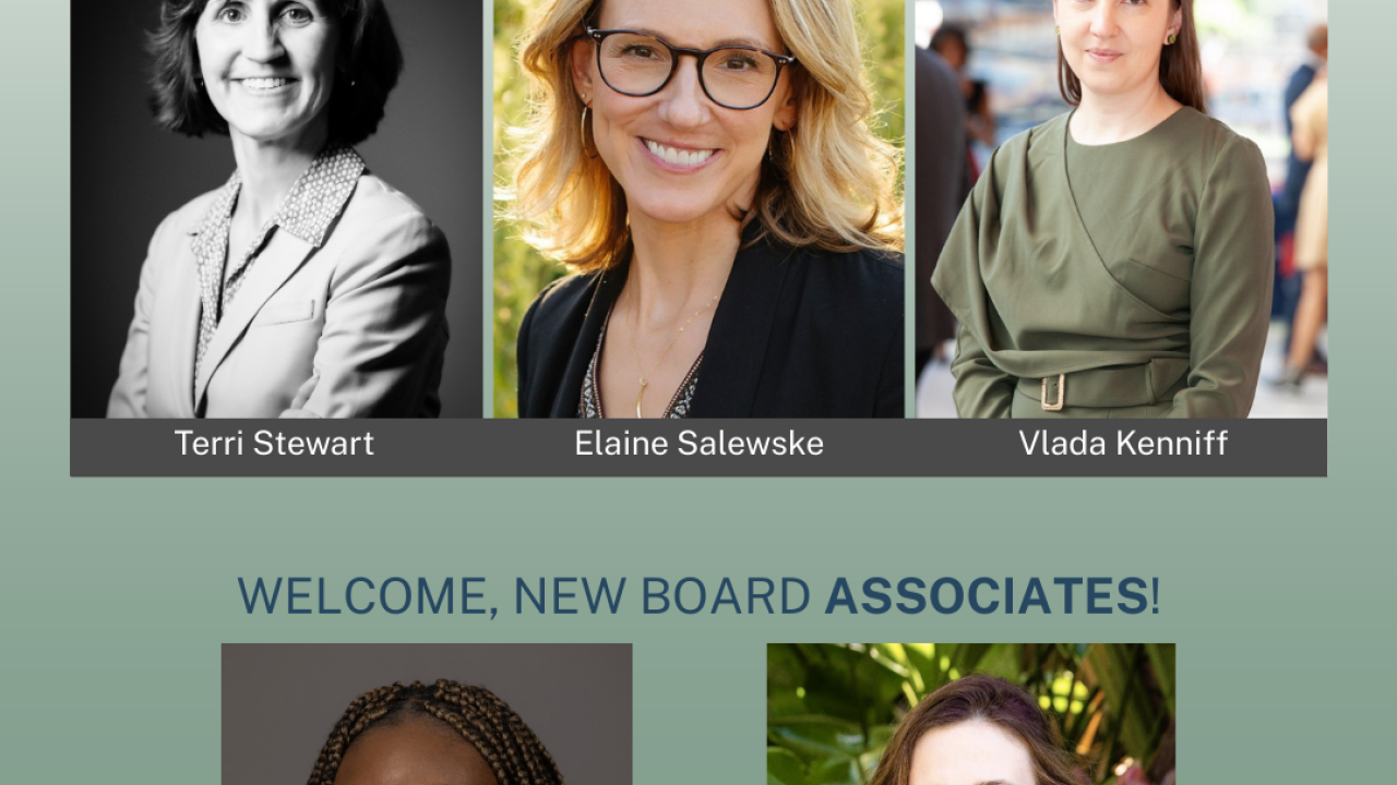 headshots of the new WSLA board members