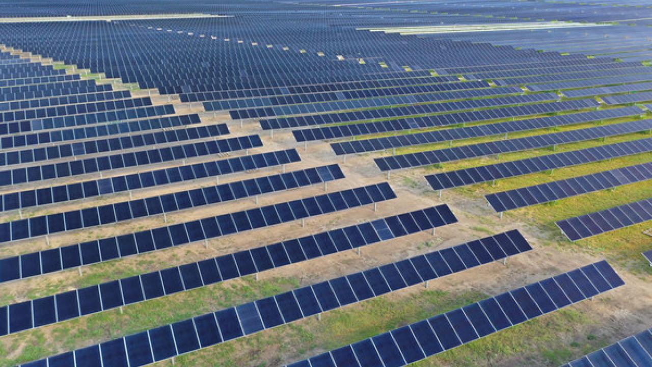 Rows of solar panels. 