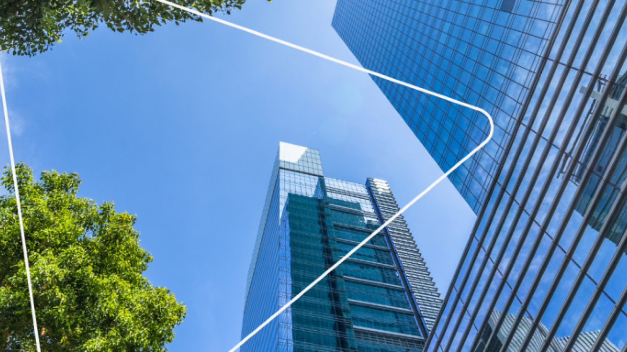 outdoor shot looking up to the sky. Tall buildings and trees around the periphery. an abstract triangle outline in the middle
