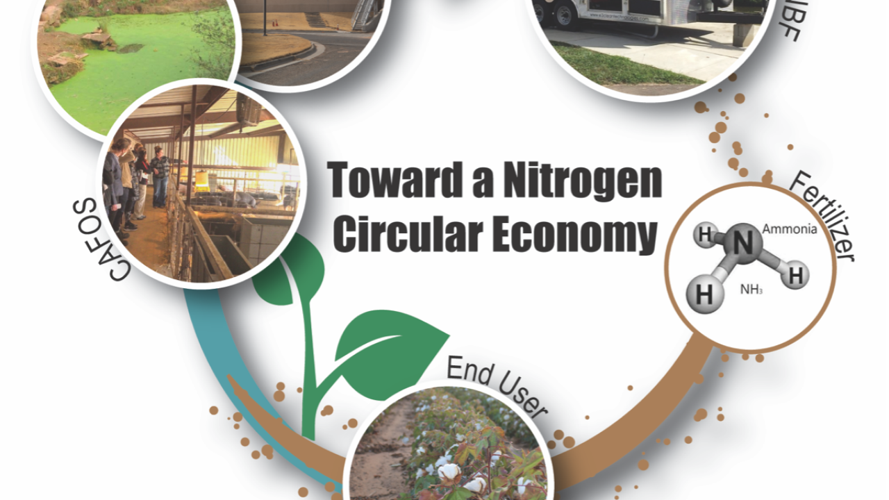 CASFER Nitrogen Circular Economy