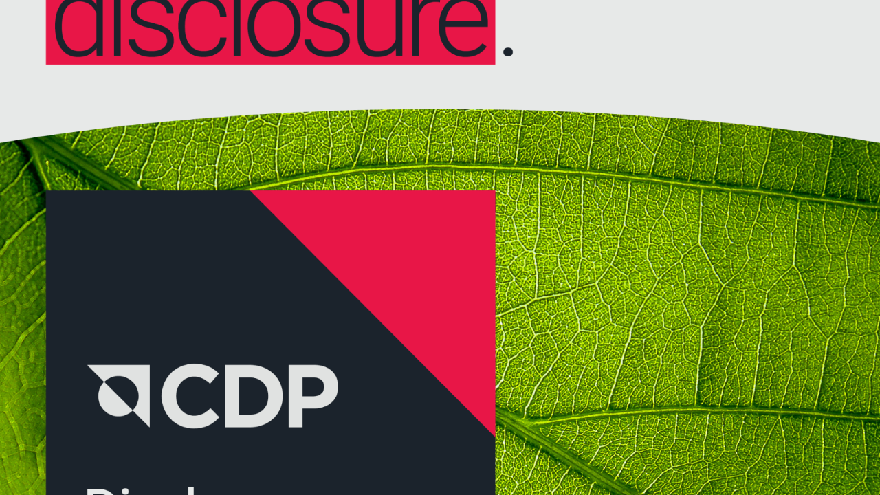 "Action starts with disclosure." CDP Discloser 2025 logo
