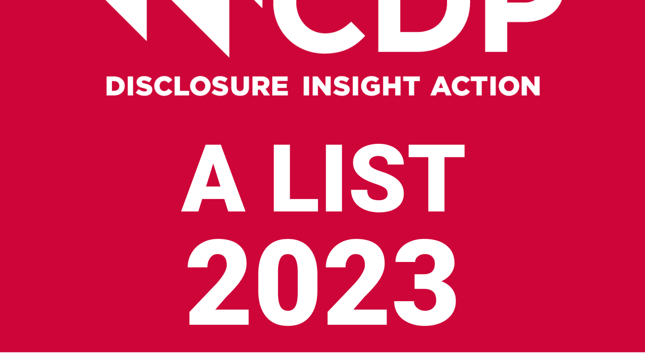CDP Disclosure Insight Action A List 2023 Forests.