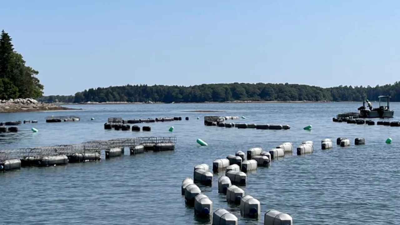 CEI - Maine 1