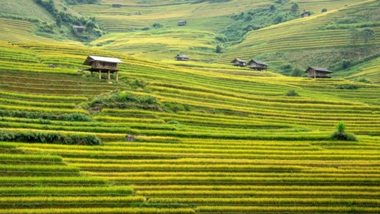 Cascale report on Vietnam sustainability challenges.