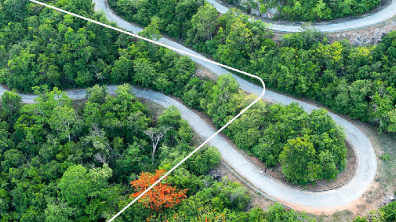 a winding road through the woods