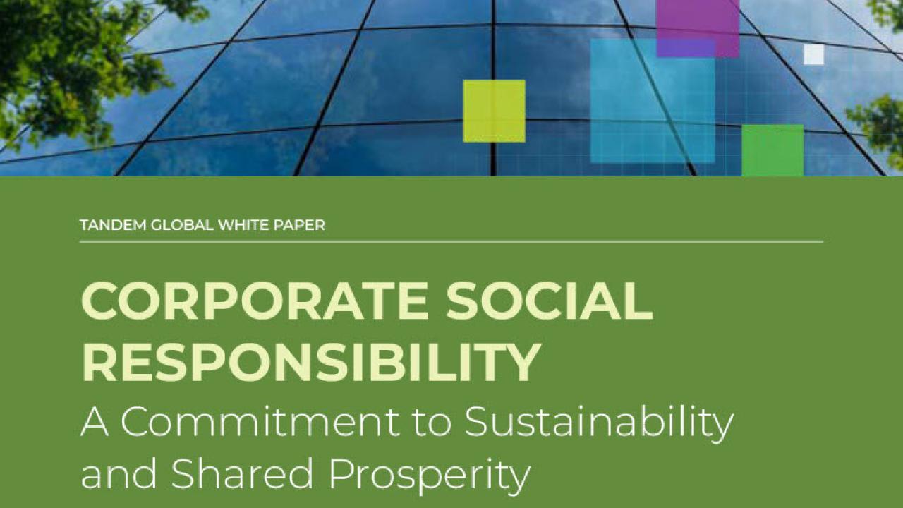 New White Paper from Tandem Global, Sponsored by DTE Energy 