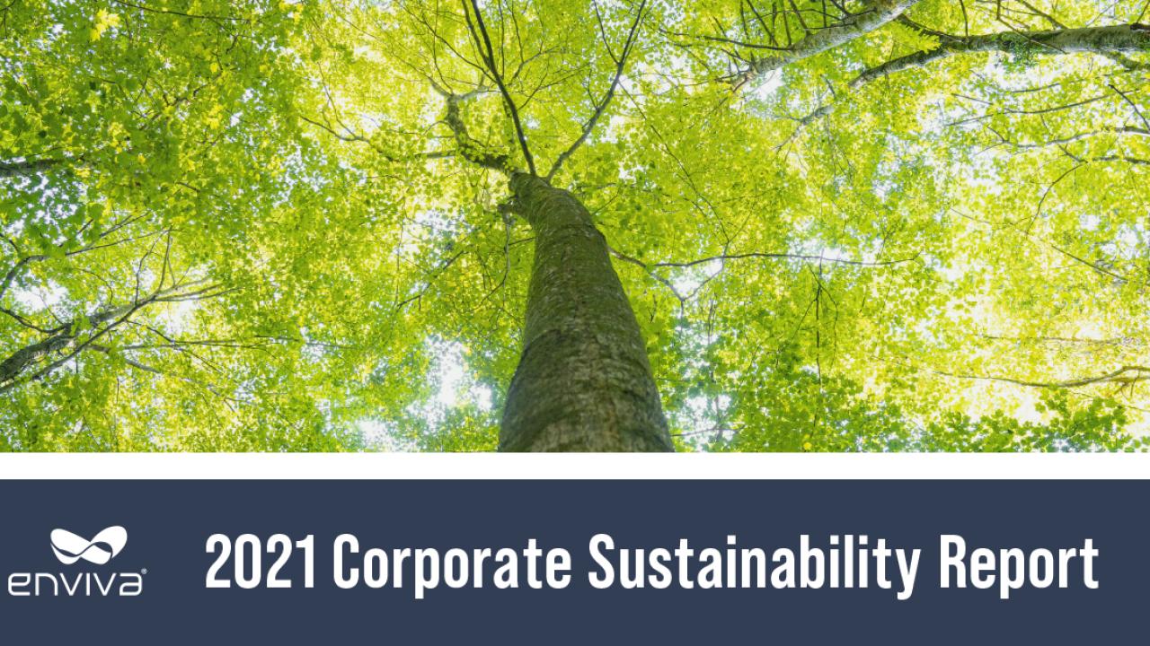 2021 Corporate Sustainability Report Cover with image looking up through a tree