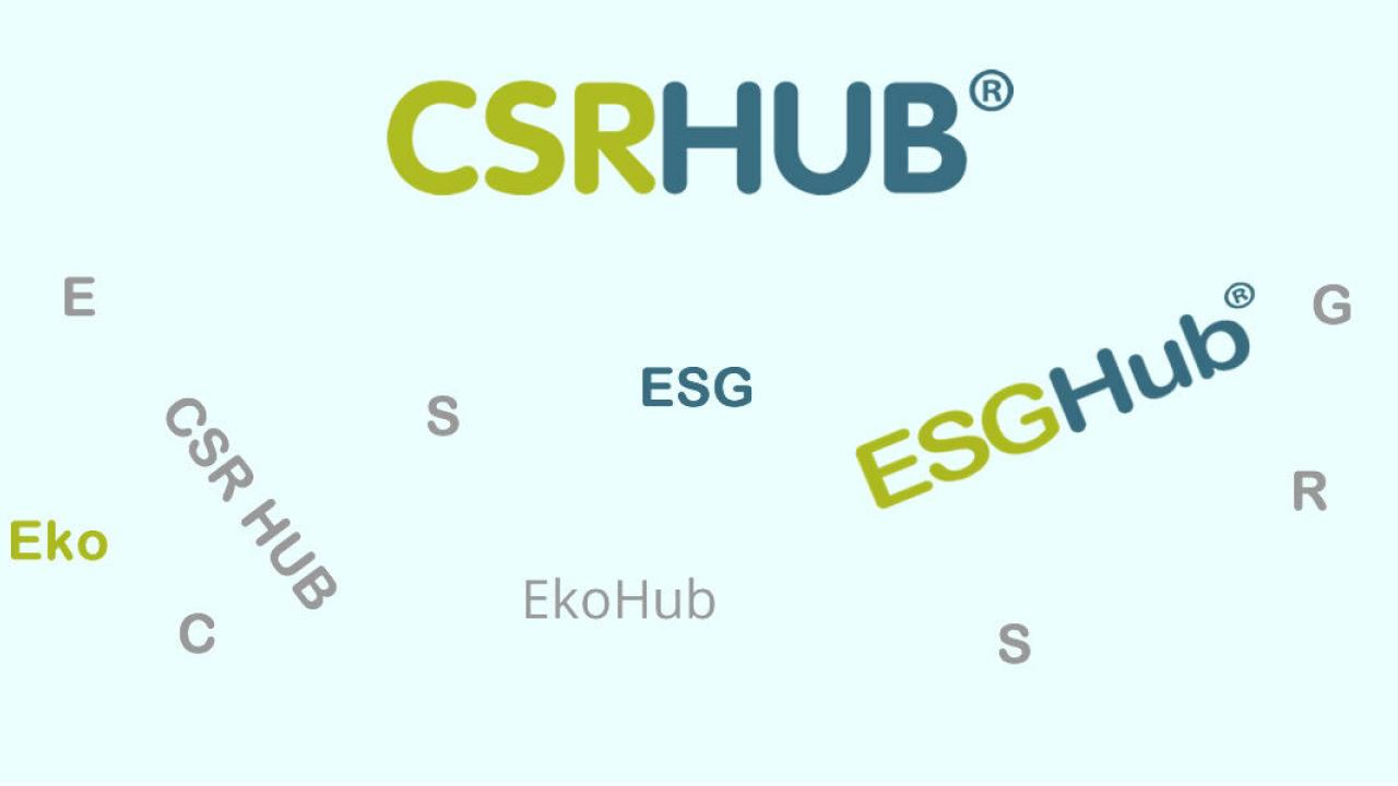 Visual representation of the naming process for CSRHub and ESG Hub
