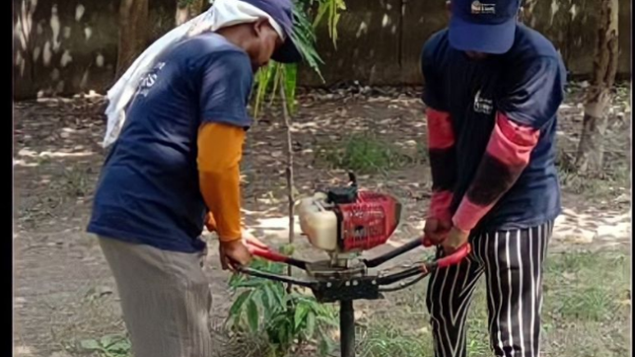 Cadence employees standing planting tree sapling