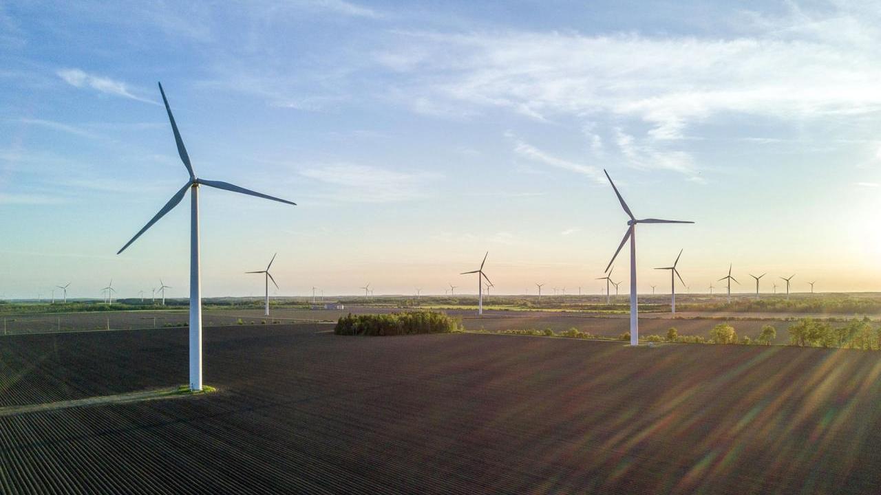 windmills