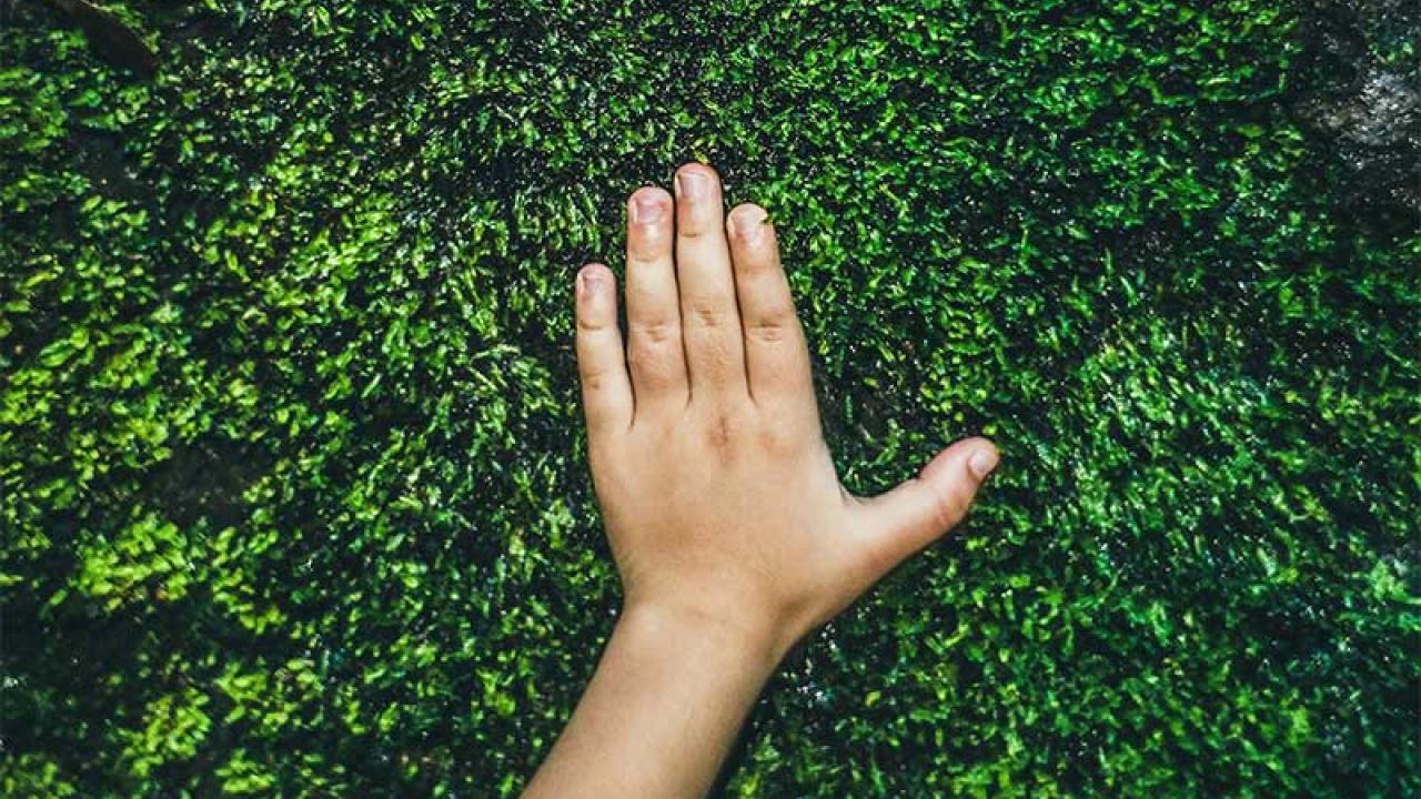 hand on grass