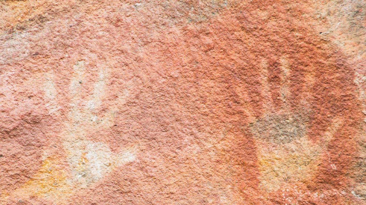 carbon handprints