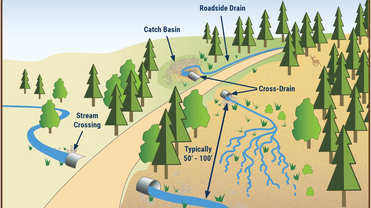 CATCH BASIN AND CROSS-DRAIN ABOVE STREAM CROSSING