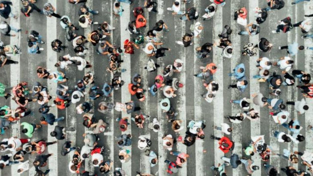 Busy Crosswalk