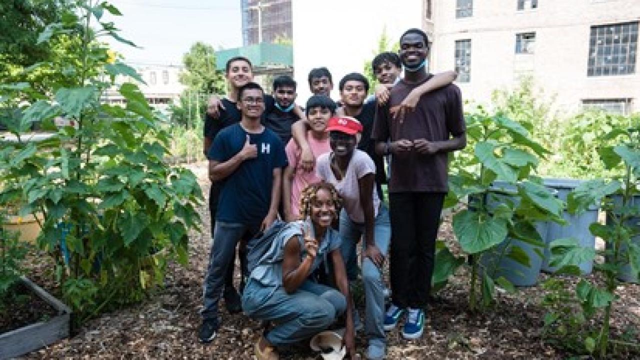 Group of people in a community garden