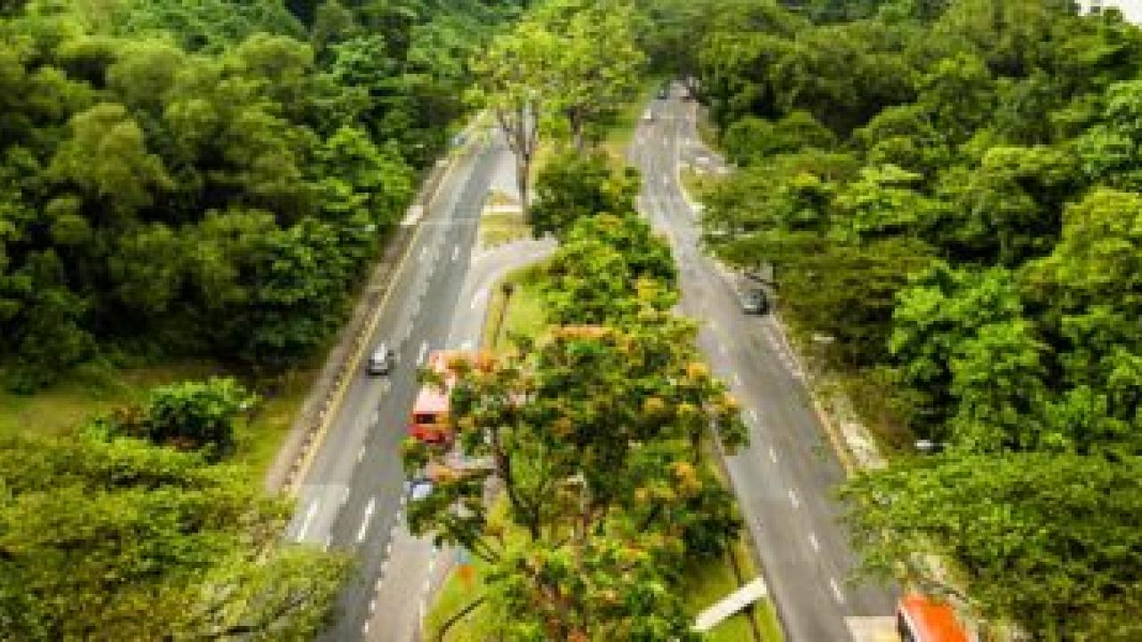 Cars driving on highway