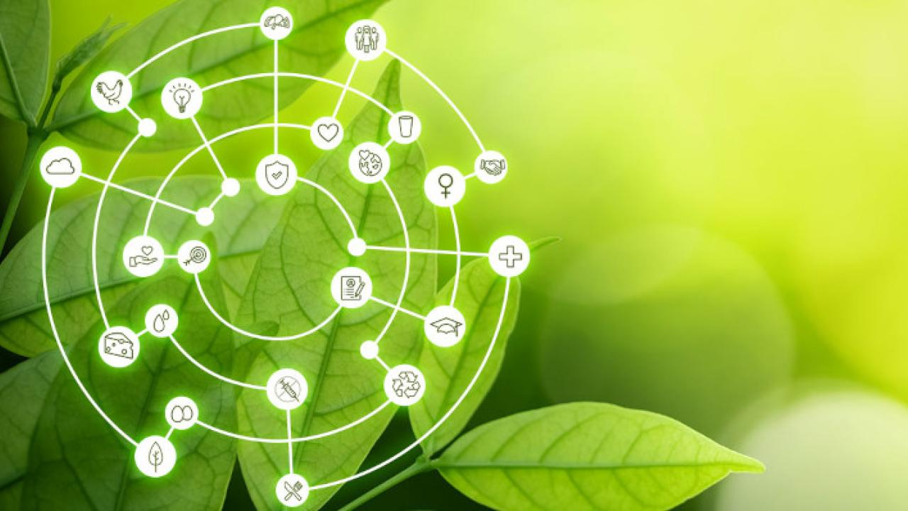 A leaf with a sustainability Illustration 