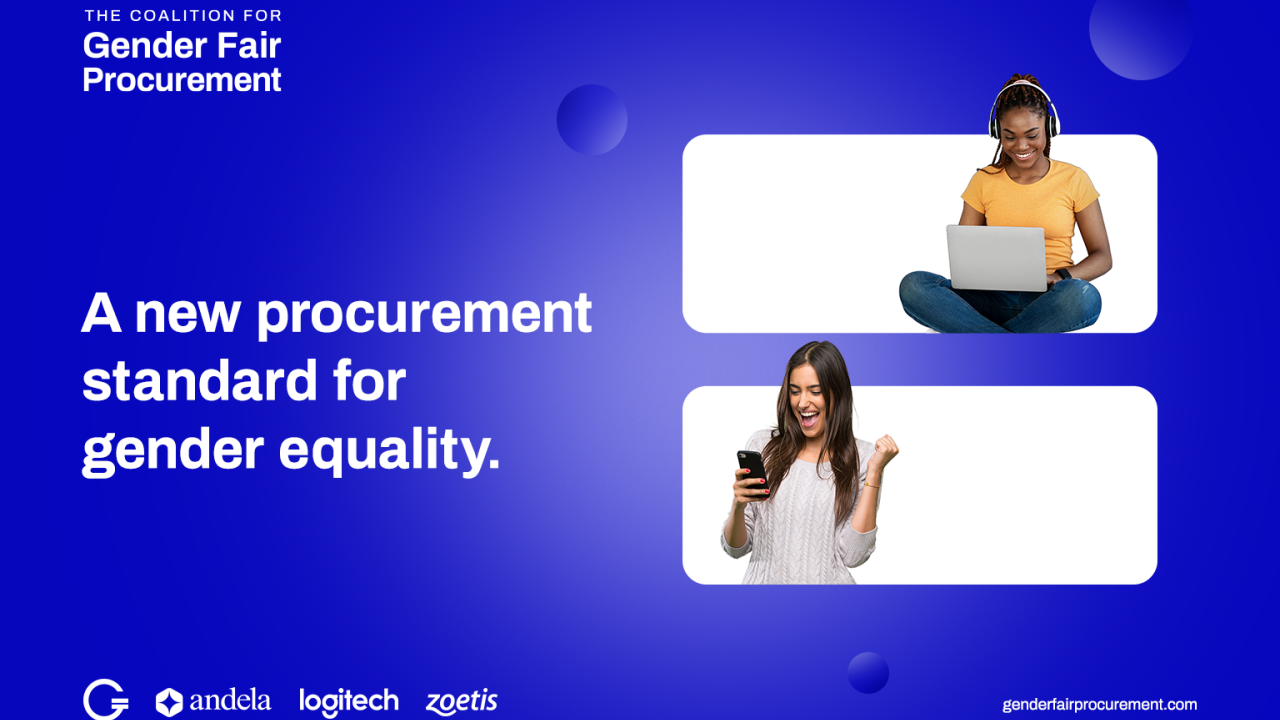 "A new procurement standard for gender equality"