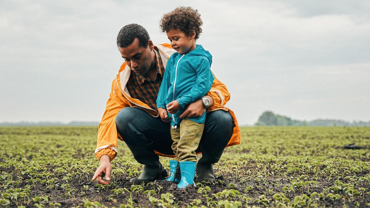 A father and son are shown looking at crops in a field.