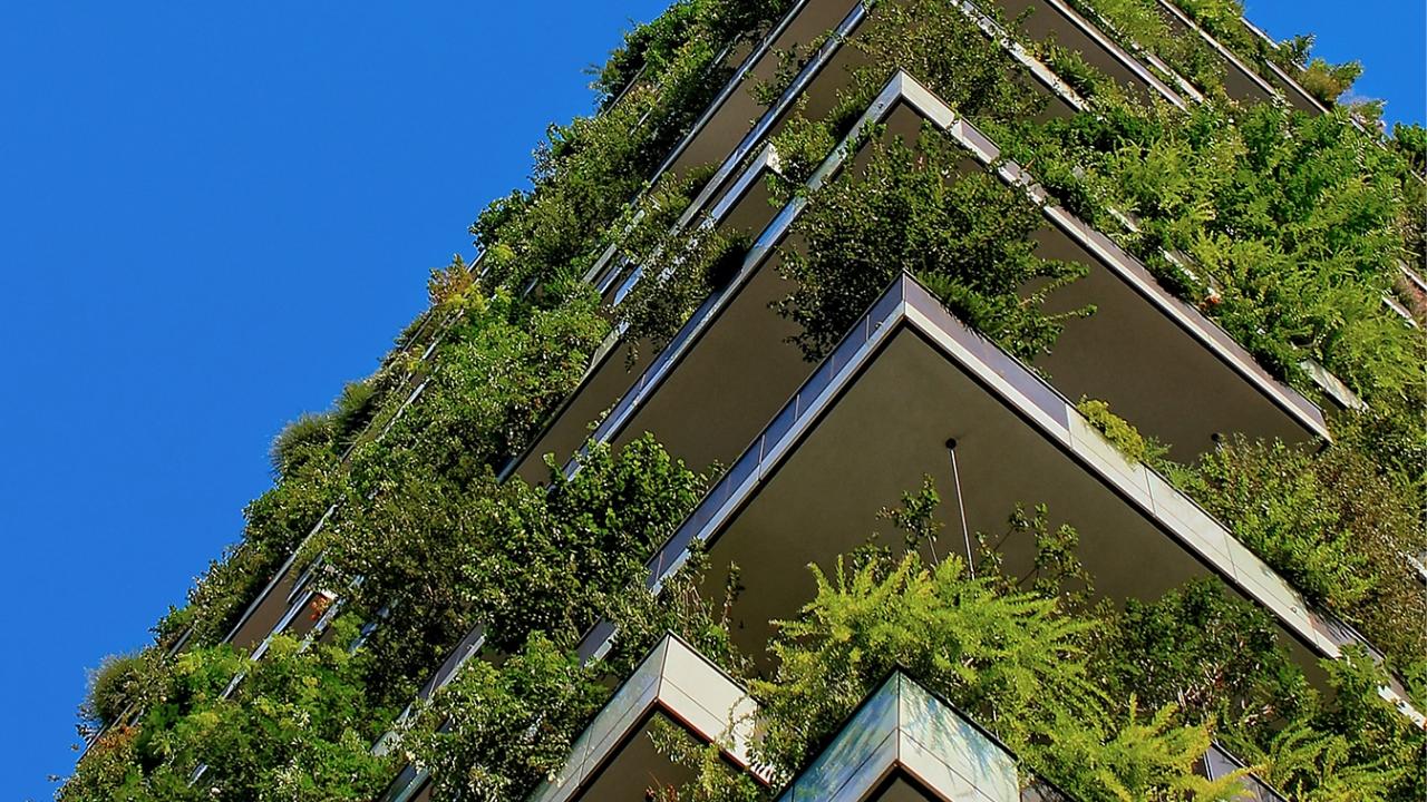 building with plants hanging over balcony