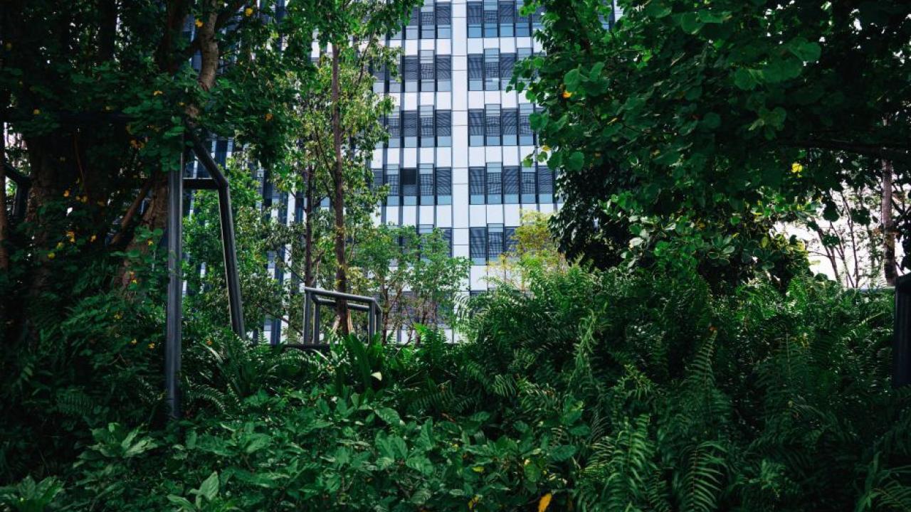 Corporate Climate Strategy