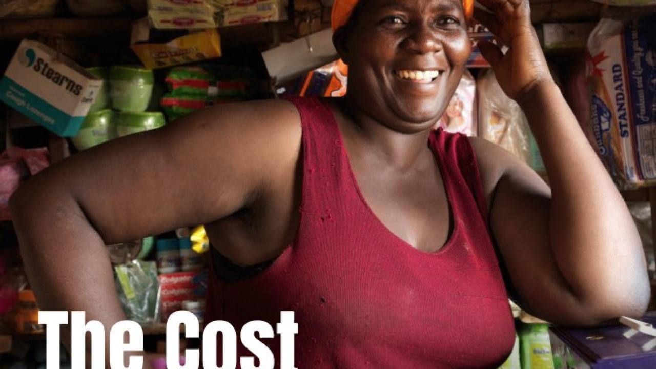 The Cost of Inequality