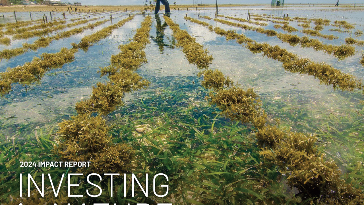 Cover image for TNC NatureVest 2024 Impact Report
