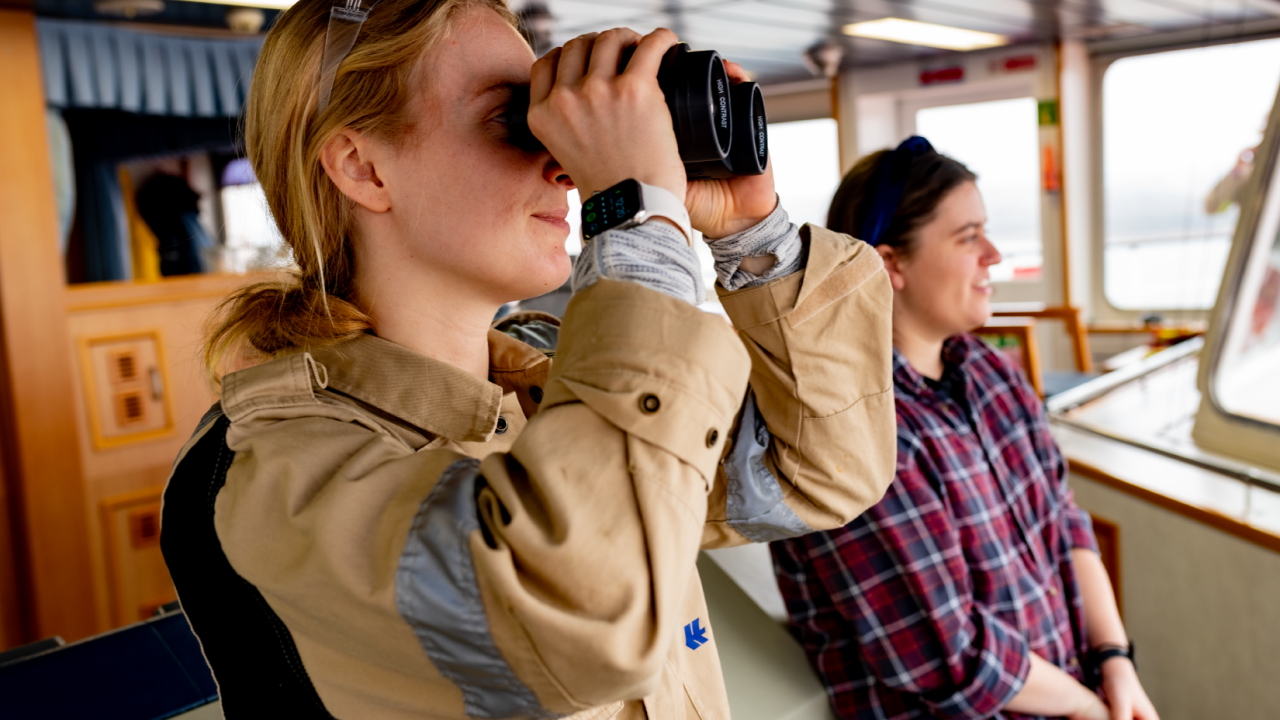 people looking out with binoculars