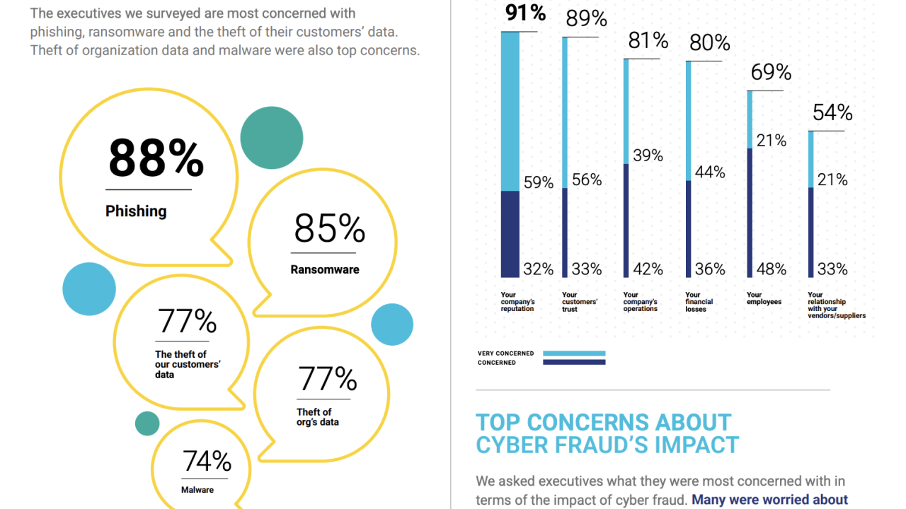 Top Cyber Fraud Concerns.