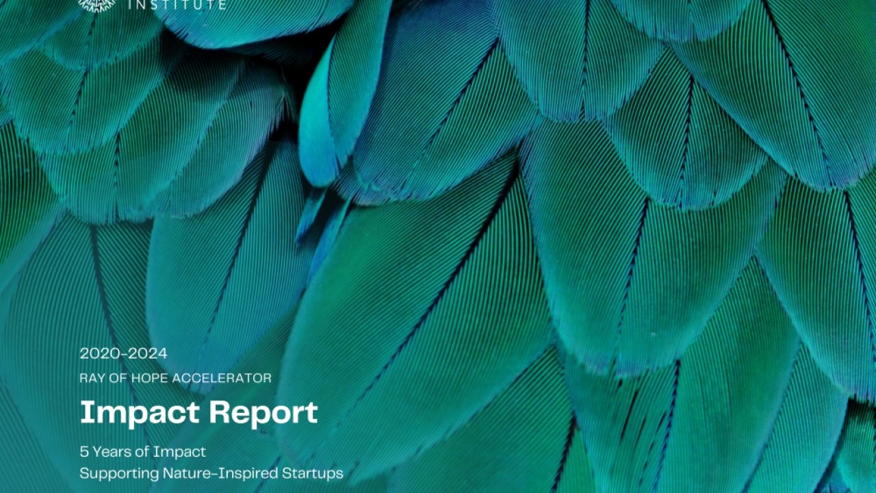 Nature image on cover of Impact Report