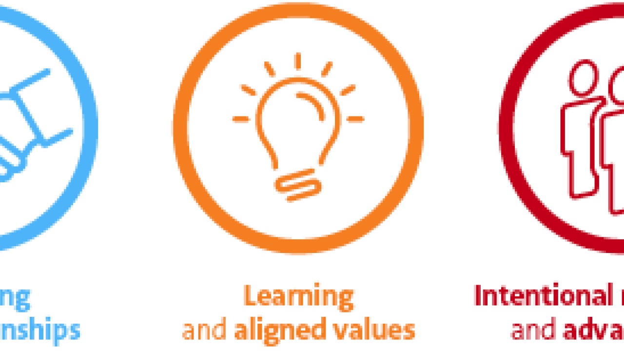 Diversity, Equity and Inclusion Icons